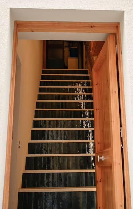 Suite Prince Of Majorca Splendid Gem Downtown Αλγκέρο Εξωτερικό φωτογραφία